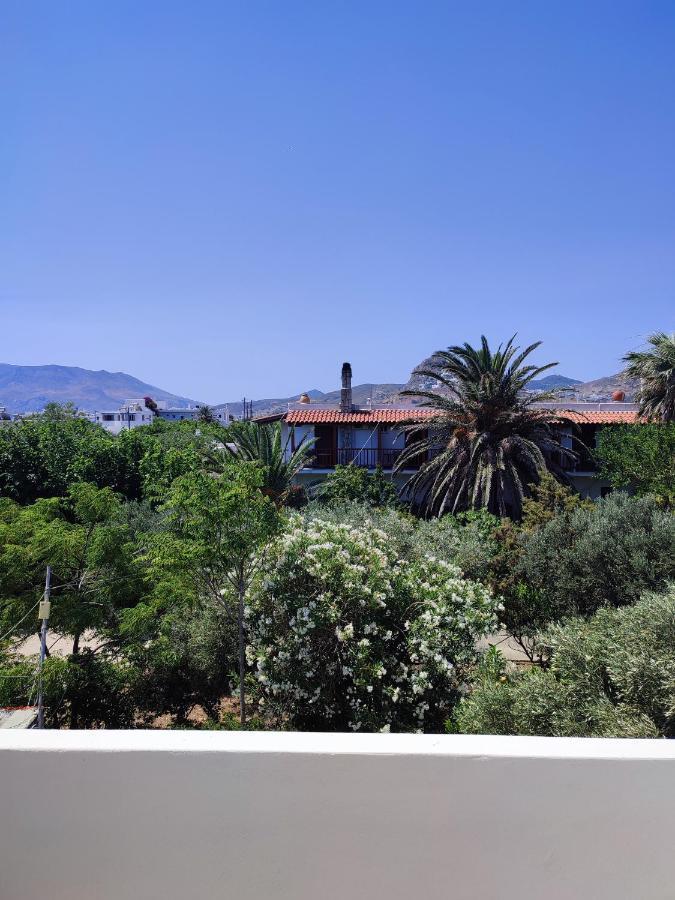 Afendra Hotel Σκύρος Εξωτερικό φωτογραφία