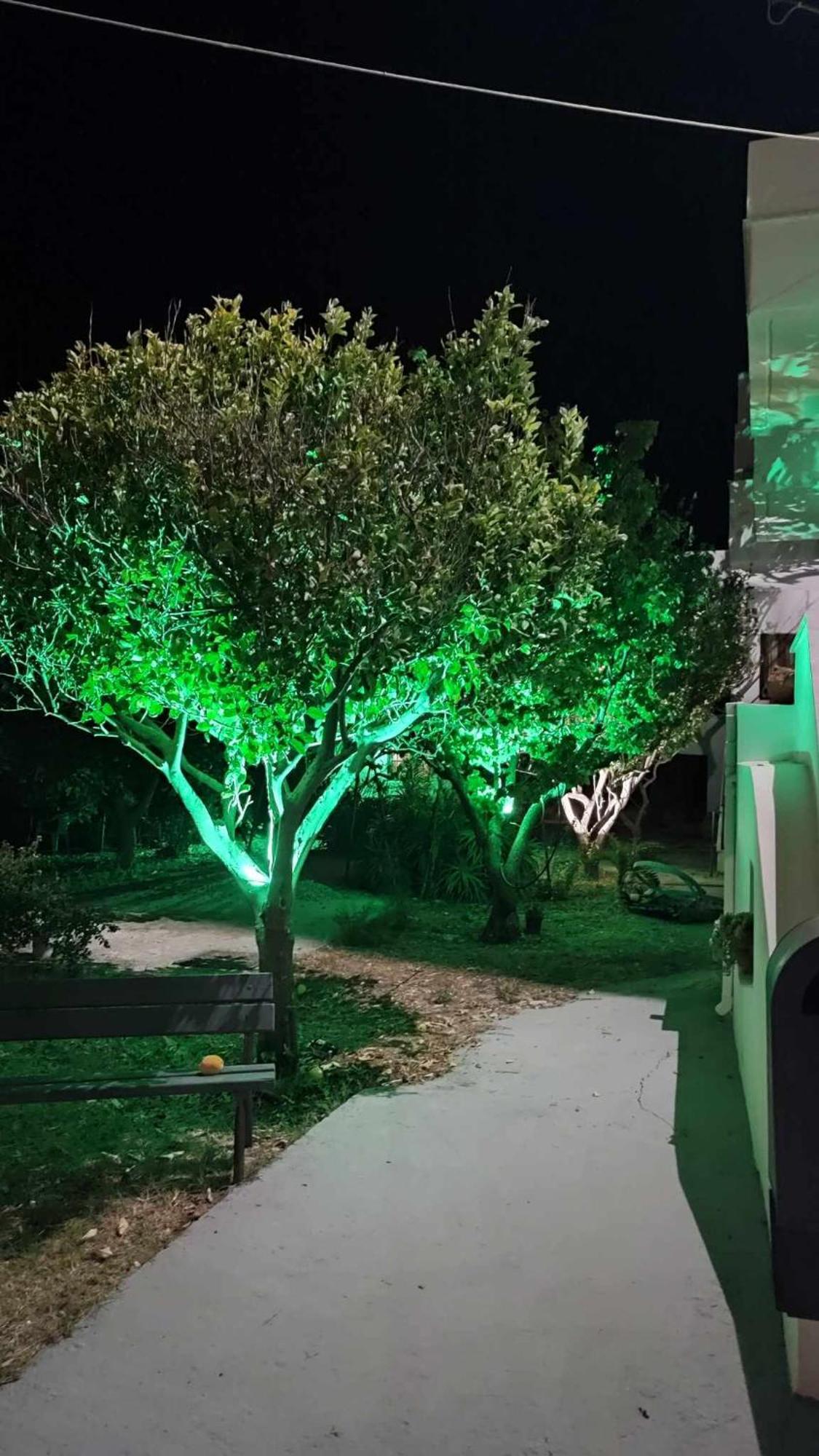 Afendra Hotel Σκύρος Εξωτερικό φωτογραφία